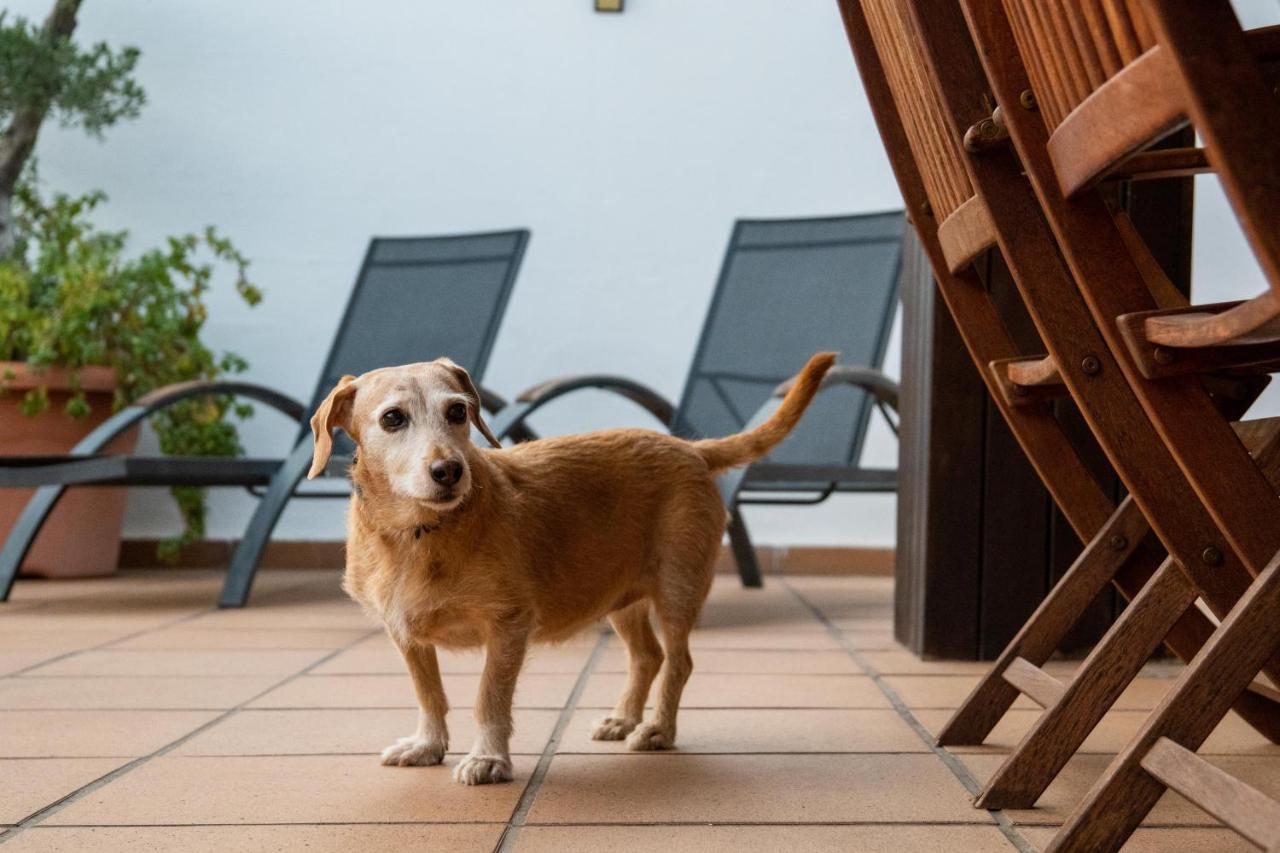Willa "Charm & Cozy 4Br - 3Ba With Pool & Barbecue" Cambrils Zewnętrze zdjęcie