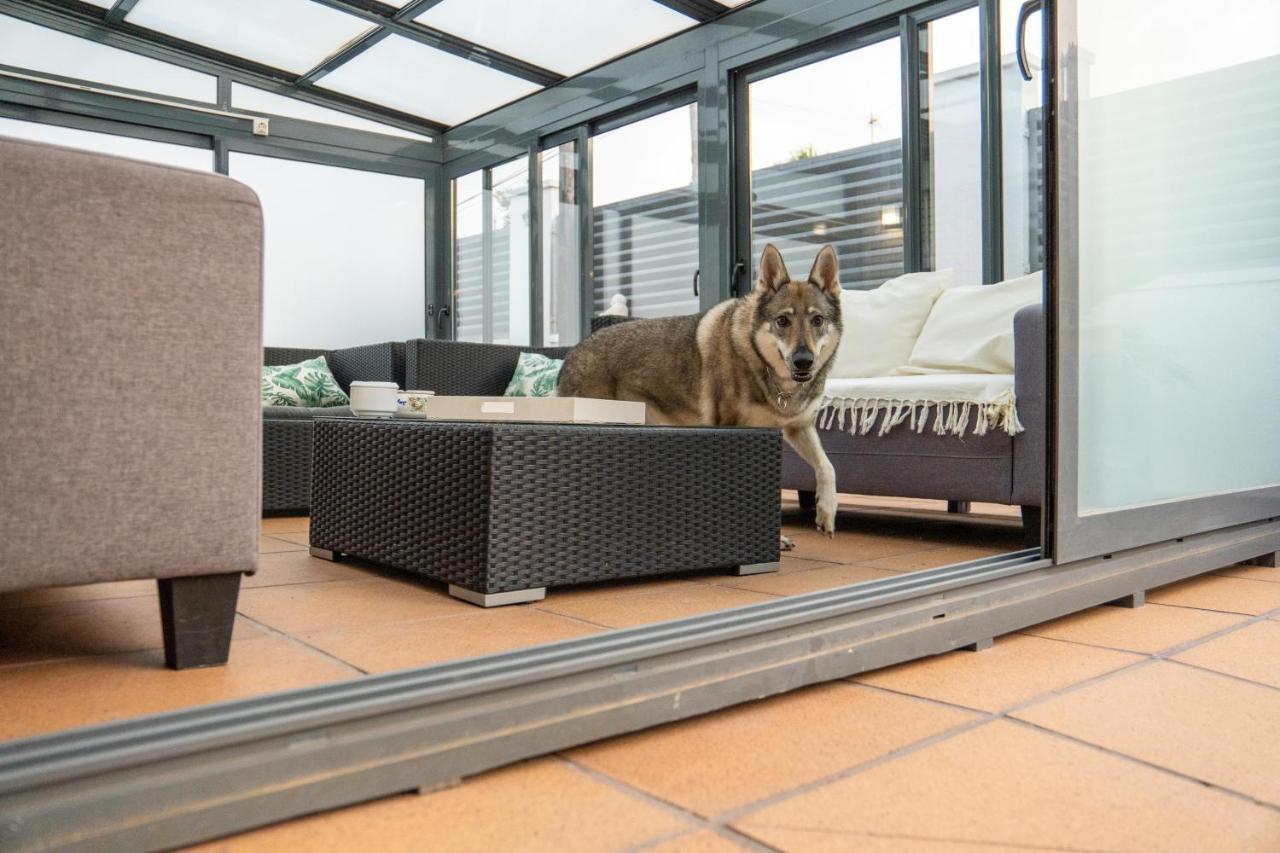 Willa "Charm & Cozy 4Br - 3Ba With Pool & Barbecue" Cambrils Zewnętrze zdjęcie